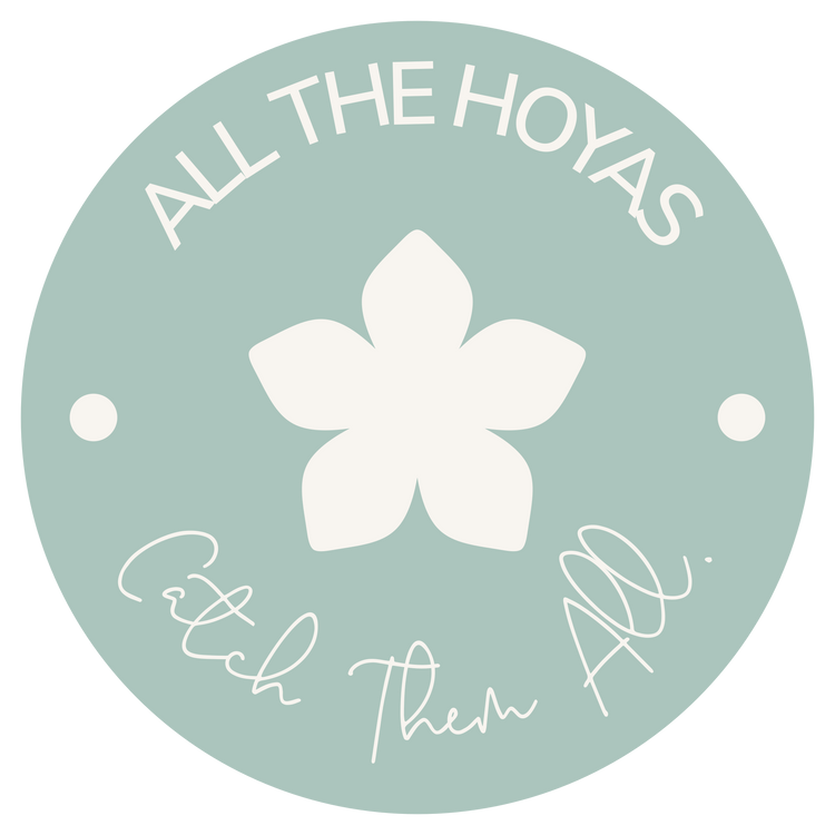 All the Hoyas