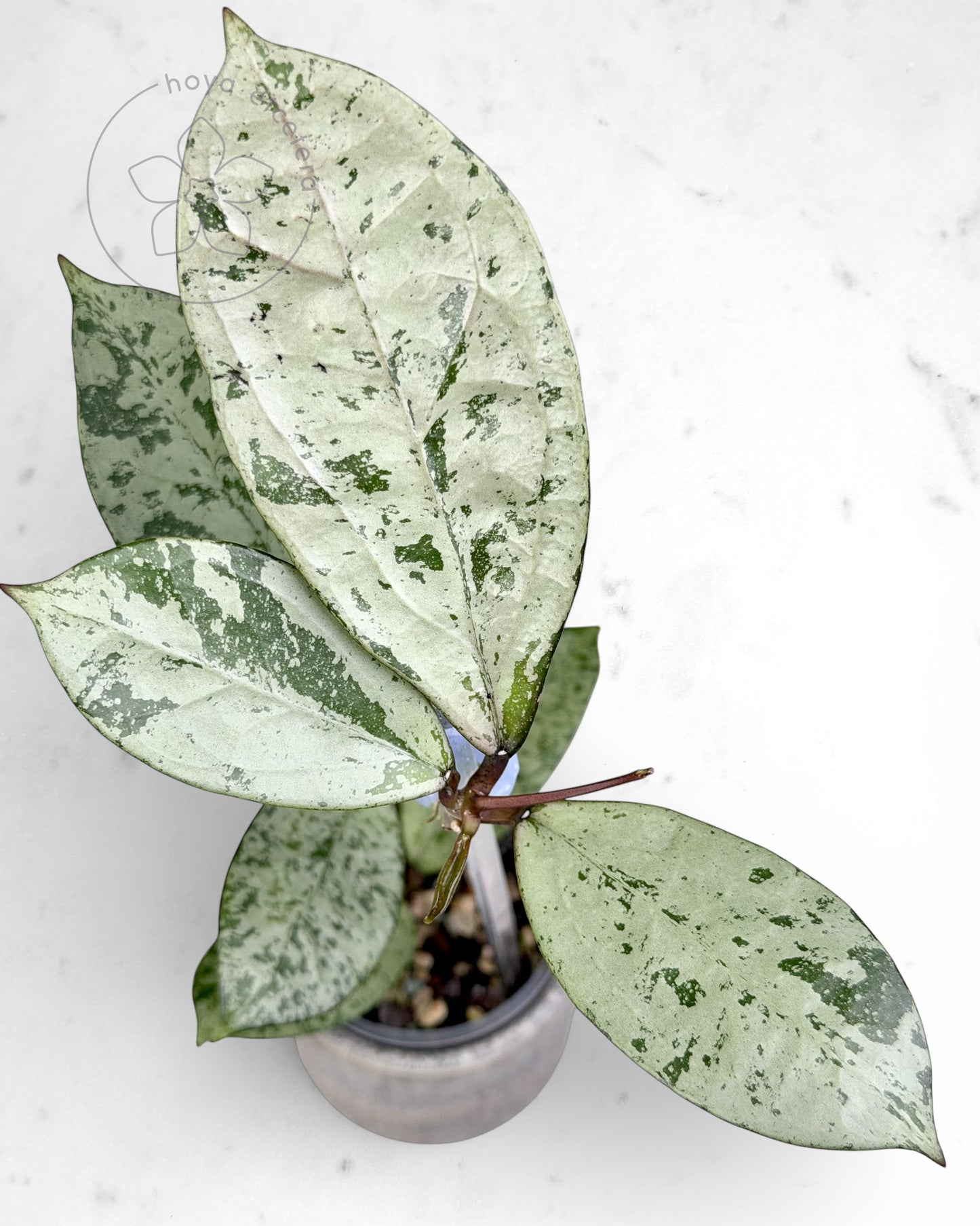 FREE SNOWMAN cutting on $500+ orders (code FREE500)