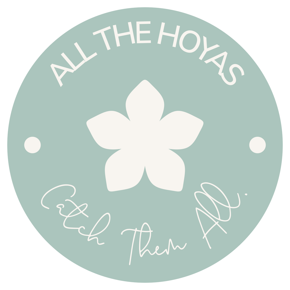 All the Hoyas
