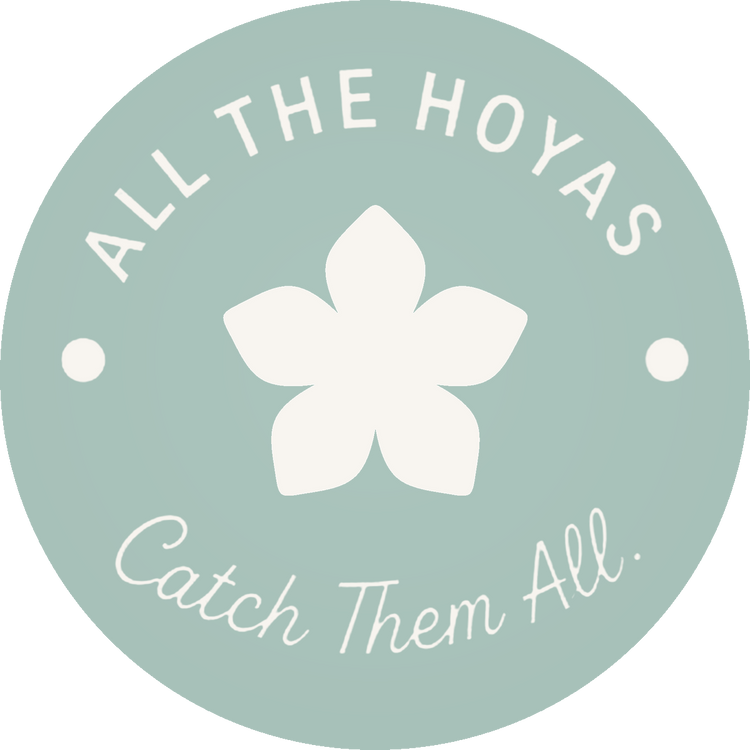 All the Hoyas