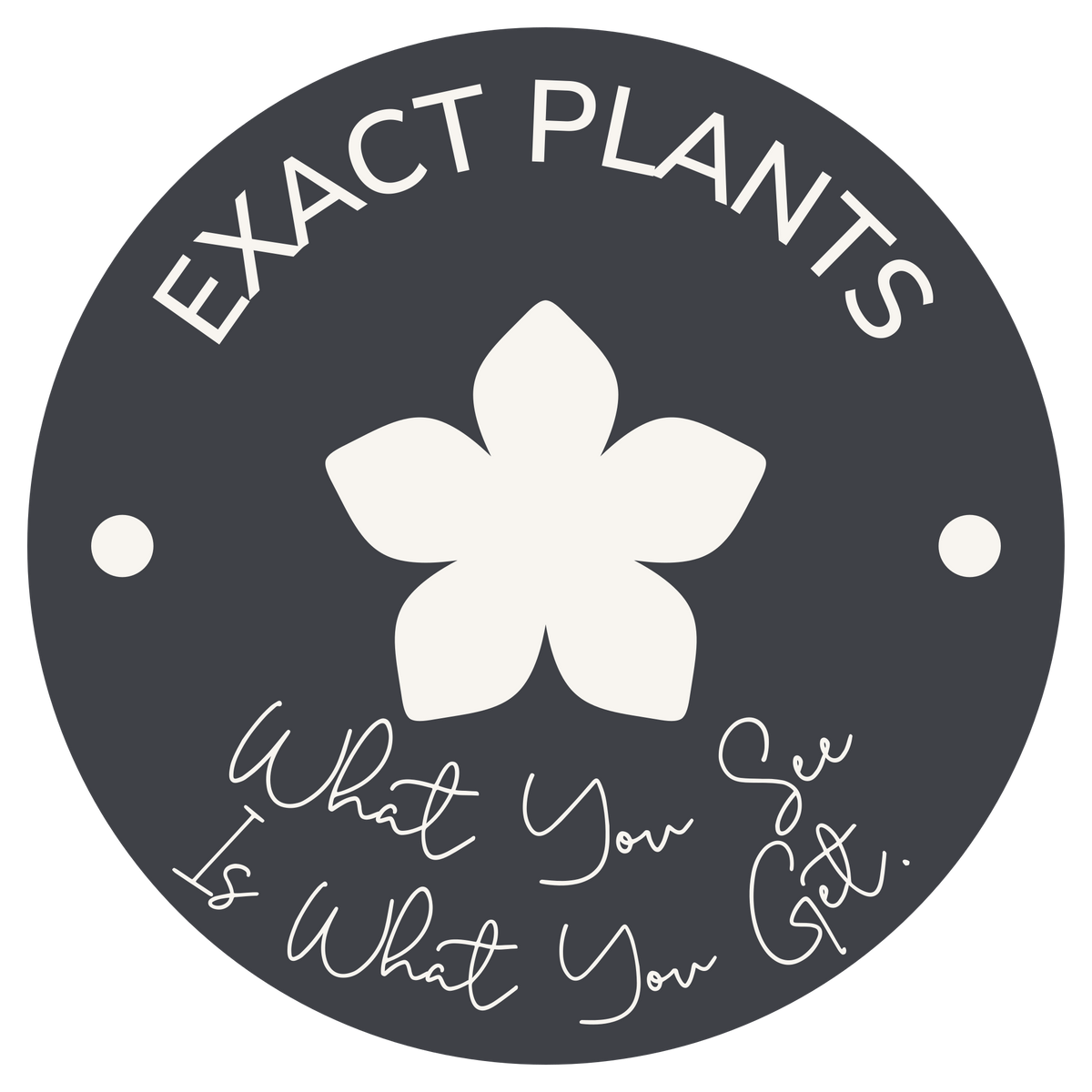 Exact Plants