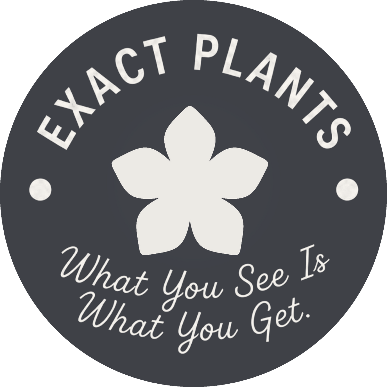 Exact Plants