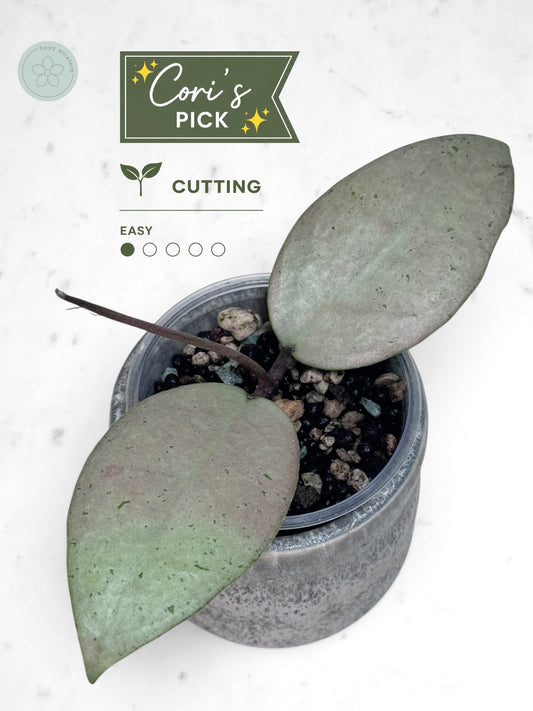 FREE MENAK SOPAL cutting on $250+ orders (code FREE250)